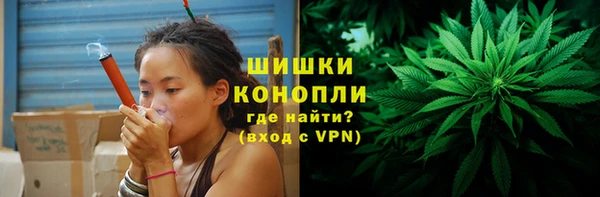 трава Аркадак