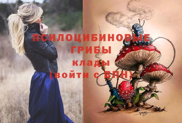 бошки Балахна