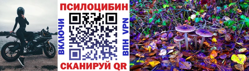 закладки  Нижняя Тура  Галлюциногенные грибы GOLDEN TEACHER 